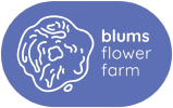 blumsflowerfarm-removebg-preview